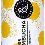 Roy Zázvorová kombucha BIO 330 ml – Zboží Dáma