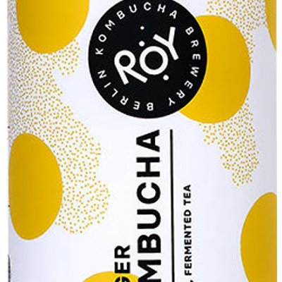 Roy Zázvorová kombucha BIO 330 ml – Zboží Dáma