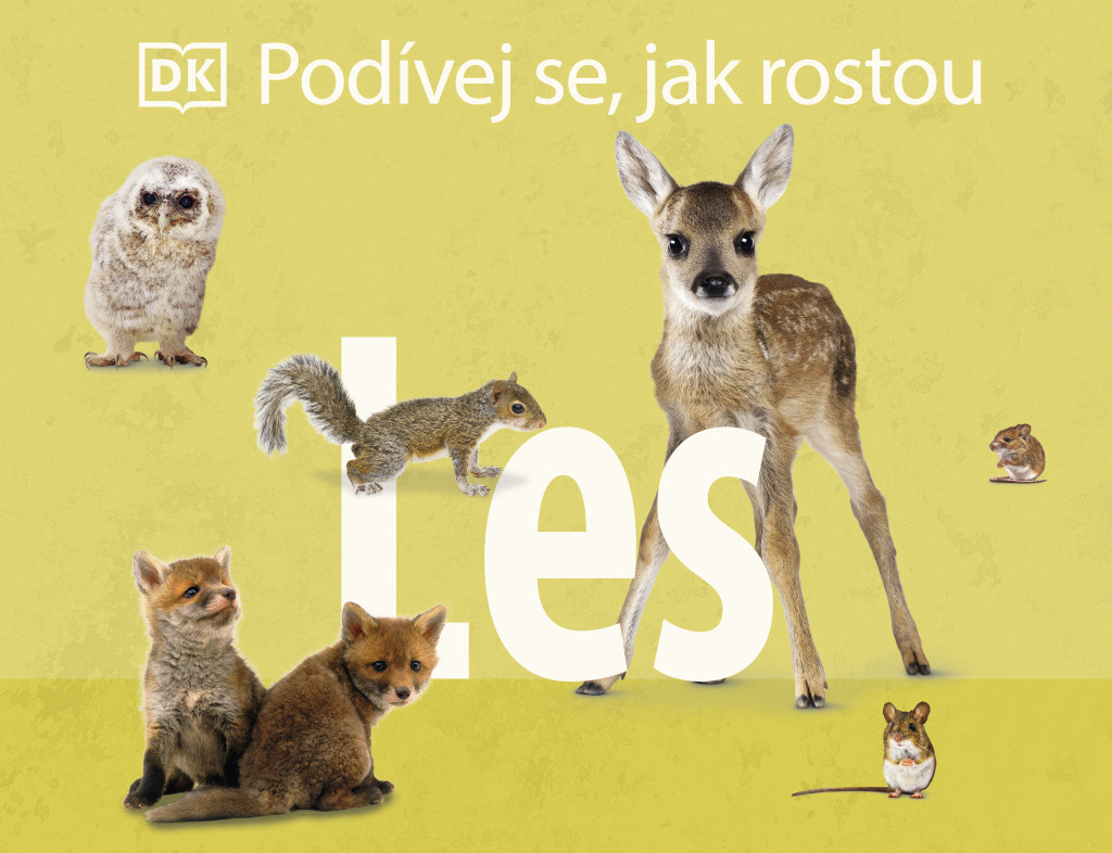 Drobek Podívej se, jak rostou: Les