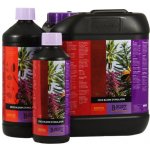 Atami B´cuzz Coco Bloom Stimulator 5 l – Hledejceny.cz