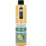 Sara Beauty Spa osvěžující sůl do koupele Citrus-Máta 330 g – Hledejceny.cz