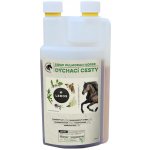 Leros Sirup Pulmoran Horse 1 l – Hledejceny.cz