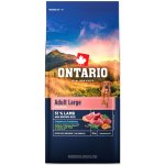 Ontario Adult Large Lamb & Brown Rice 20 kg – Zboží Mobilmania