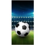 Detexpol osuška Fotbal stadion 70 x 140 cm bavlna froté – Zboží Dáma