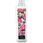 Dedra avivážní kondicionér lila fashion 750 ml – Hledejceny.cz