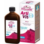 Vitar Veterinae ArtiVit Sirup 500 ml – Zboží Dáma