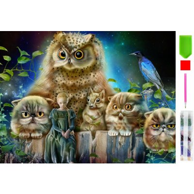 RealG RC-K-105 diamantové malování sada 5D 40 x 50 cm noční strážci – Sleviste.cz