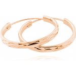 JVD náušnice SVLE0209XD5RO – Zboží Dáma