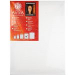 Astra Malířské plátno na rámu 50 x 60 cm – Zboží Dáma