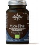 Hifas da Terra Mico-Five Immune System 70 kapslí – Hledejceny.cz