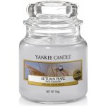 Yankee Candle Autumn Pearl 411 g – Zbozi.Blesk.cz