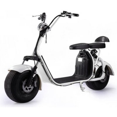 EcoWheel GR7 1000W 12Ah stříbrná – Sleviste.cz