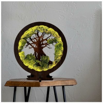 Li-Go 23604/DUB2 – Zboží Dáma