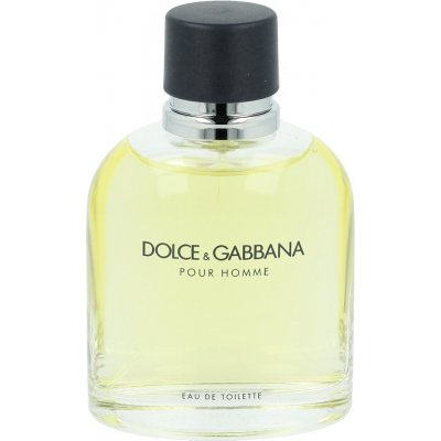 Dolce & Gabbana toaletní voda pánská 125 ml tester – Hledejceny.cz