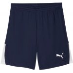 Puma TEAMLIGA 26 SHORTS Tmavě modrá,Bílá L – Hledejceny.cz
