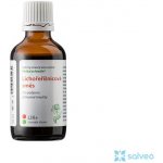 Dědek kořenář Lichořeřišnicová směs 200 ml – Hledejceny.cz