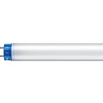 MASTER LEDtube PERF 1200mm 21W840 T8 I R – Hledejceny.cz