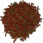 Lucky Reptile Turtle Mix Adult 100 g – Zboží Mobilmania