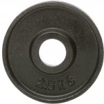 ATX LINE Litinový kotouč 2,5 kg 50 mm – Zboží Dáma