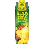 Rauch Happy Day ananas 100% 1 l – Zboží Dáma