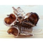 MARLEX Průdušnice Hovězí suš. 100 g – Hledejceny.cz