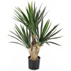 Květina Luxusní umělá palma BABY YUCCA x 3, 68 cm