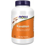 Now Foods Candida Support 180 kapslí – Hledejceny.cz