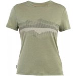 Icebreaker Dámské merino tričko s krátkým rukávem Wmns Core SS Tee Cook Reflected Lichen – Zboží Mobilmania