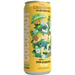 Coconaut Kokosová voda s ananasovou šťávou 320 ml – Zboží Dáma