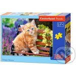 Castorland Zrzavé kotě 180 dílků – Zboží Mobilmania