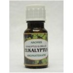 Aromis vonný olej Eukalyptus 10 ml – Hledejceny.cz