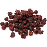 Salvia Paradise Schizandra čínská plod HQ 10 ks 100 g – Hledejceny.cz