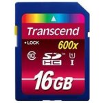 Transcend SDHC 16 GB UHS-I TS16GSDHC10U1 – Hledejceny.cz