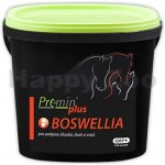 Premin Plus Boswellia 1 kg – Zboží Mobilmania