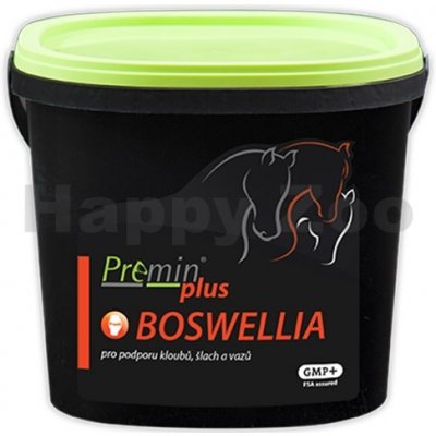 Premin Plus Boswellia 1 kg – Zboží Mobilmania