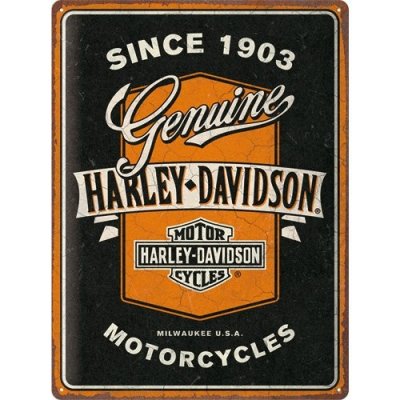 Postershop Plechová cedule: Harley-Davidson - Genuine Motorcycles Ribbon - 40x30 cm – Zboží Mobilmania