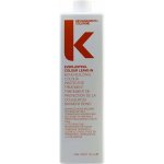 Kevin Murphy Everlasting Colour Leave-In 1000 ml – Hledejceny.cz