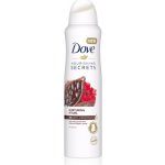 Dove Nourishing Secrets Nurturing Ritual deospray 150 ml – Zbozi.Blesk.cz