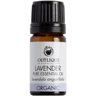 Odylique BIO Éterický olej Levandule 10 ml – Zboží Mobilmania