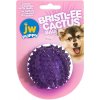 Hračka pro psa JW Pet JW Bristl ee Cactus Ball