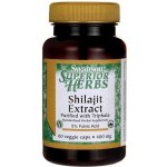 Swanson Shilajit Mumio Extract 60 kapslí – Hledejceny.cz