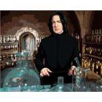 zuty Malování Podle Čísel Severus Snape V Učebně Lektvarů Harry Potter 40 x 50 Cm Plátno Rám – Hledejceny.cz