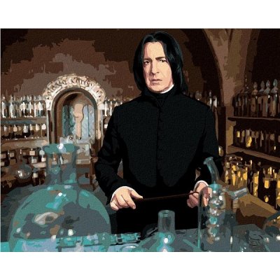 zuty Malování Podle Čísel Severus Snape V Učebně Lektvarů Harry Potter 40 x 50 Cm Plátno Rám – Hledejceny.cz