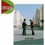 Wish You Were Here - Pink Floyd, Ostatní - neknižní zboží – Hledejceny.cz