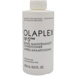 Olaplex No. 5 Fine Bond Maintenance Conditioner Lehký výživný kondicionér 250 ml – Zboží Dáma