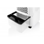 ETA Coolio 0568 90000 – Zboží Dáma