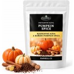 Haniell Rozpustná káva Pumpkin Spice robusta s pravým kořením 100 g – Hledejceny.cz