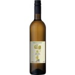 Chateau Selešťany Devín BIO 2024 13% 0,75 l (holá láhev) – Hledejceny.cz