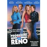 Probuzení v Renu DVD – Hledejceny.cz