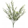 Květina Blahovičník - Eukalyptus keř 'Dali' velký 43 cm (N314601)